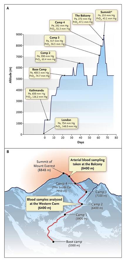 NEJM Everest schematic